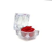 ETERNAL ROSE - RED BiJOU