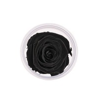 ETERNAL ROSE - Black