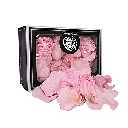 Leaves of eternal roses Elegance ROSE AMOUR, Pink