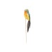 Сет от 12 птици за декорация Elegantz Fluff  Bird- 12 броя
