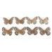 Elegantz Real Fly Decorative Butterflies – 6 pieces per box