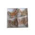 Elegantz Real Fly Decorative Butterflies – 6 pieces per box