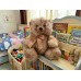 Плюшено мече Брауни Elegantz  Fluffy Brauni Bear; Плюш; 25х30х35см; Beige
