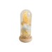 Luxury LED glass jar Elegantz Gentle Rose, White