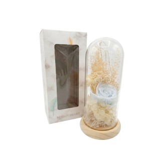 Luxury LED glass jar Elegantz Gentle Rose, White