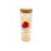 Луксозна  стъкленица с LED Elegantz Bouquet Rose Best Wishes, Red