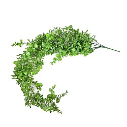 Artificial greenery Elegantz Dyschidia, 100 cm, Color Green