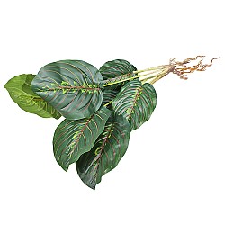 Изкуствена зеленина Elegantz  Calathea Mix, 50 см, Цвят Многоцветен