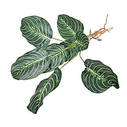 Изкуствена зеленина Elegantz  Calathea Mix, 50 см, Цвят Многоцветен