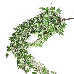 Изкуствена зеленина Elegantz Hedera , 120 см, Цвят Зелен/Бял
