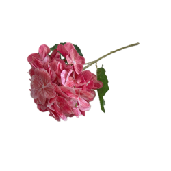 Artificial hydrangea stem Elegantz Single Stemp, 62 cm, Rose