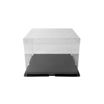Прозрачна кутия за декорация Elegantz Transperant M, 24х 24х17,Черен