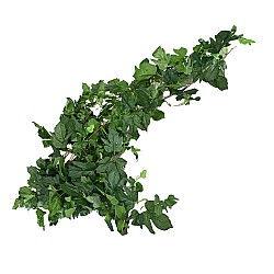 Гирлянд изкуствени листа Хедера Елеганц GREEN, 110 см, Цвят Зелен 