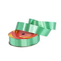 Single color ribbon 3cm/23m - Green
