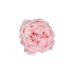 Сапунена божуреста роза Elegantz Summer Rose 7см x 8см, Pink