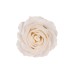Сапунена роза Elegantz Love De Luxe , 6.5см x 5,8см, White