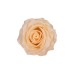 Сапунена роза Elegantz Love De Luxe , 6.5см x 5,8см, Cream