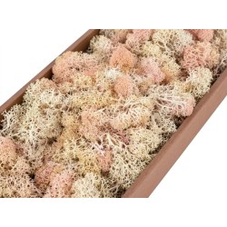 Скандинавски Мъх 500гр, Blush