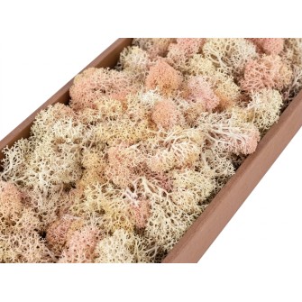 Скандинавски Мъх 500гр, Blush