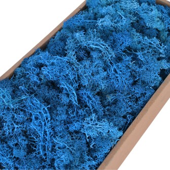 Scandinavian Moss 500g, Blue