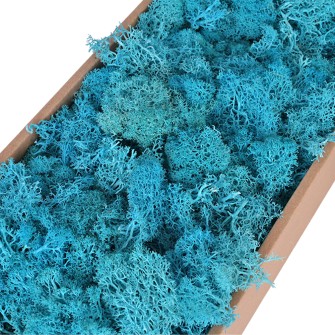 Скандинавски Мъх 500гр, Ice Blue