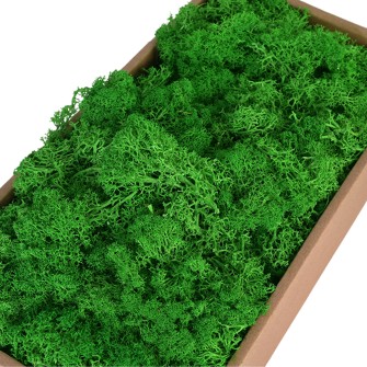 Скандинавски Мъх 500гр,  Moss Green