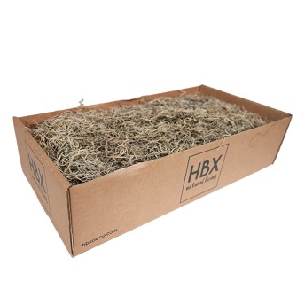 Скандинавски Мъх 500гр,  Tillandsia