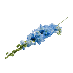 Изкуствен стрък Дендробиум Elegantz Queen Blue ,110 см, Light Blue