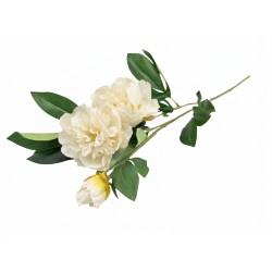 Изкуствен стрък Elegantz Божур Bouquet Perfect  ,80 см, White