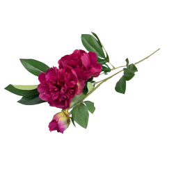 Изкуствен стрък Elegantz Божур Bouquet Perfect  ,80 см, Magenta