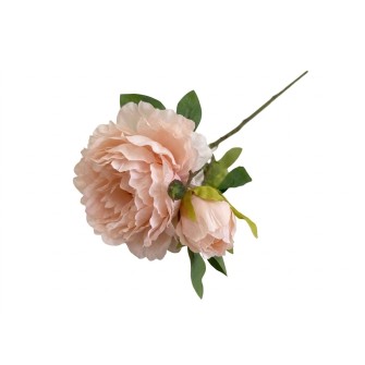 Artificial stem Elegantz Peony Alex Flame, 65 cm, Blush Pink