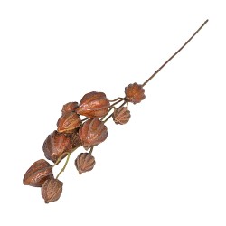 Изкуствен клон Elegantz Physalis, 80 см, Цвят Rust