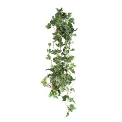 Изкуствена зеленина Elegantz  Singonium, 270 см, Цвят Зелен/ Бял