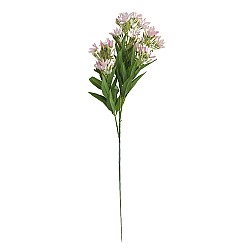Изкуствен стрък Elegantz Ornitugalum , 90 см, Цвят Blush