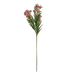 Изкуствен стрък Elegantz Ornitugalum , 90 см, Цвят Plunch