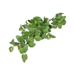 Изкуствен стрък Elegantz Japanese Green, 110см, Green