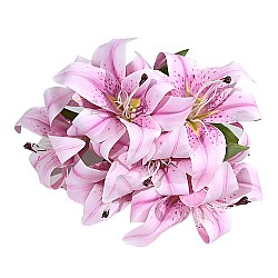 Изкуствен  букет Лилиум Elegantz  Prestigio, 45см, Taffy