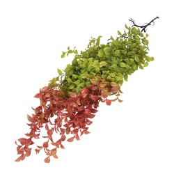 Изкуствена зеленина Elegantz Dalbergia , 100 см, Цвят Зелен/Червен