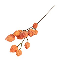 Изкуствен клон Elegantz Physalis, 80 см, Цвят Orange