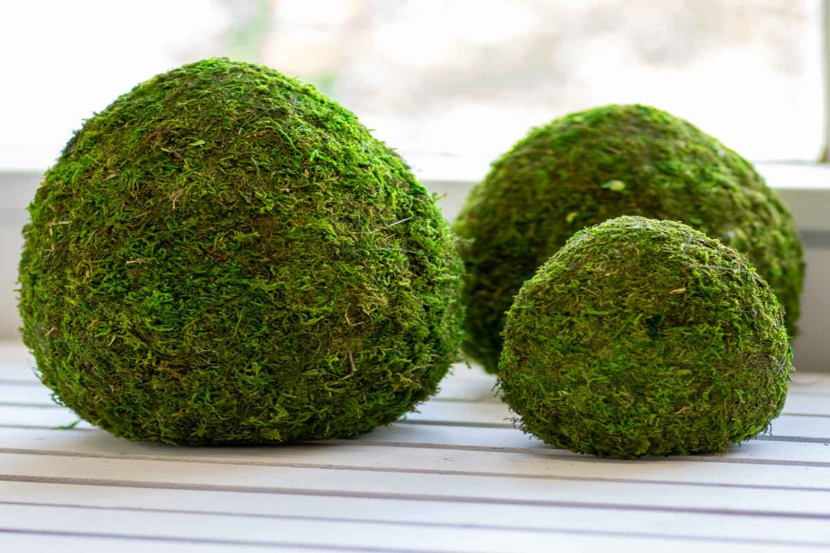 Scandinavian moss eggs